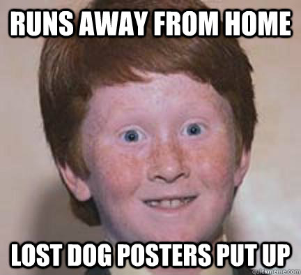 runs away from home lost dog posters put up  Over Confident Ginger