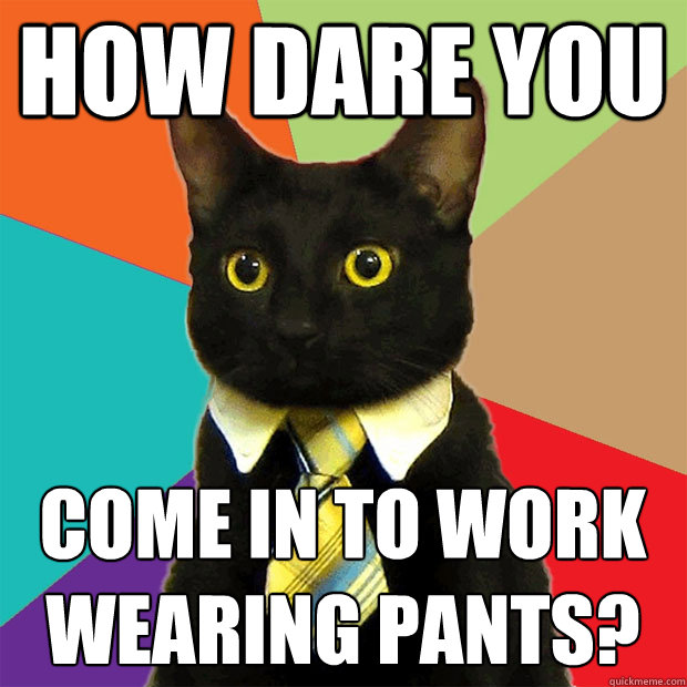 How dare you come in to work
wearing pants?  Business Cat