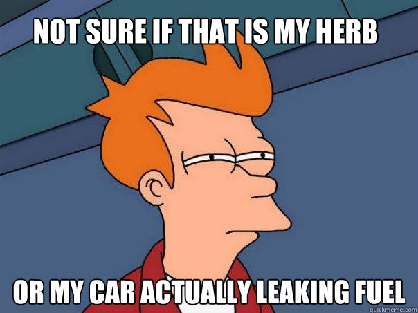 Not sure if that is my herb Or my car actually leaking fuel - Not sure if that is my herb Or my car actually leaking fuel  Futurama Fry