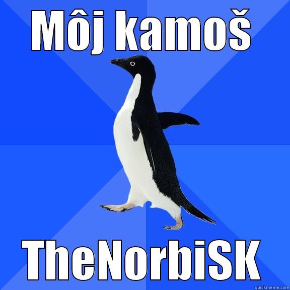 MÔJ KAMOŠ THENORBISK Socially Awkward Penguin