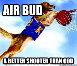 Air bud A better shooter than COD  