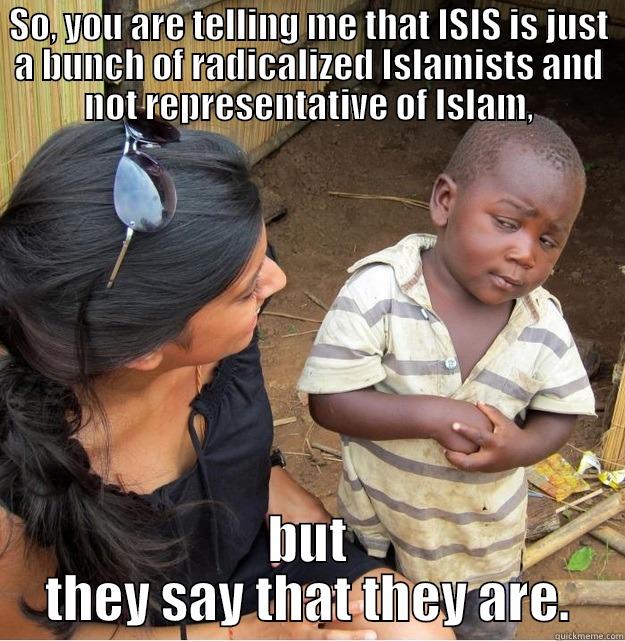 Enemy Definition - SO, YOU ARE TELLING ME THAT ISIS IS JUST A BUNCH OF RADICALIZED ISLAMISTS AND NOT REPRESENTATIVE OF ISLAM, BUT THEY SAY THAT THEY ARE. Skeptical Third World Kid