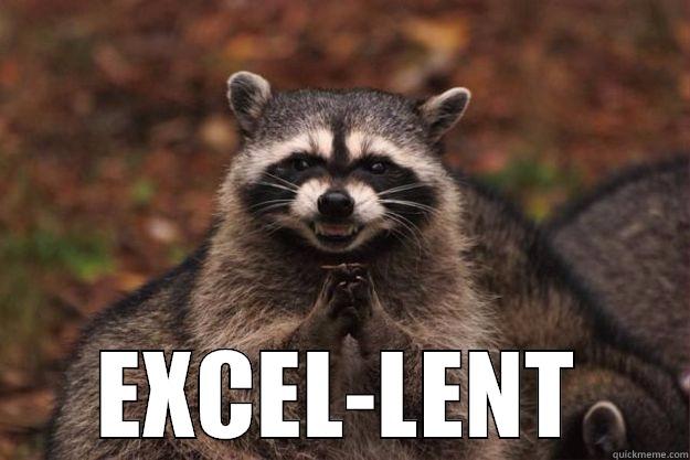  EXCEL-LENT Evil Plotting Raccoon