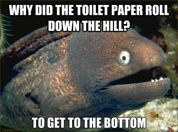 Why did the toilet paper roll down the hill? To Get to the bottom  Bad Joke Eel