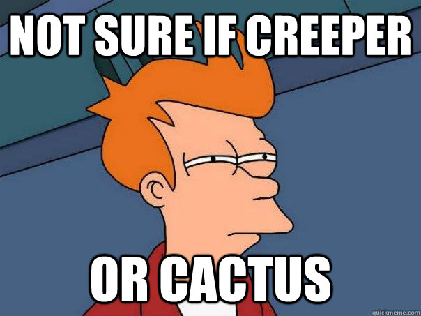 not sure if creeper or cactus  Futurama Fry