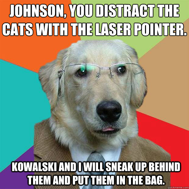 Johnson, you distract the cats with the laser pointer. 
 Kowalski and I will sneak up behind them and put them in the bag. - Johnson, you distract the cats with the laser pointer. 
 Kowalski and I will sneak up behind them and put them in the bag.  Business Dog