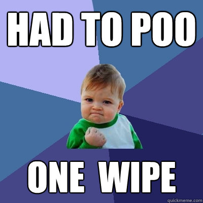 Had to poo One  Wipe  Success Kid