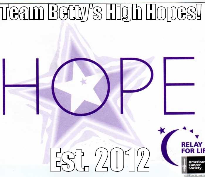 relay team - TEAM BETTY'S HIGH HOPES!  EST. 2012 Misc