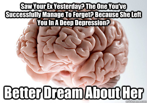 Saw Your Ex Yesterday? The One You've Successfully Manage To Forget? Because She Left You In A Deep Depression? Better Dream About Her  Scumbag Brain