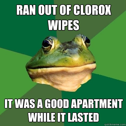 Ran out of Clorox wipes It was a good apartment while it lasted - Ran out of Clorox wipes It was a good apartment while it lasted  Foul Bachelor Frog