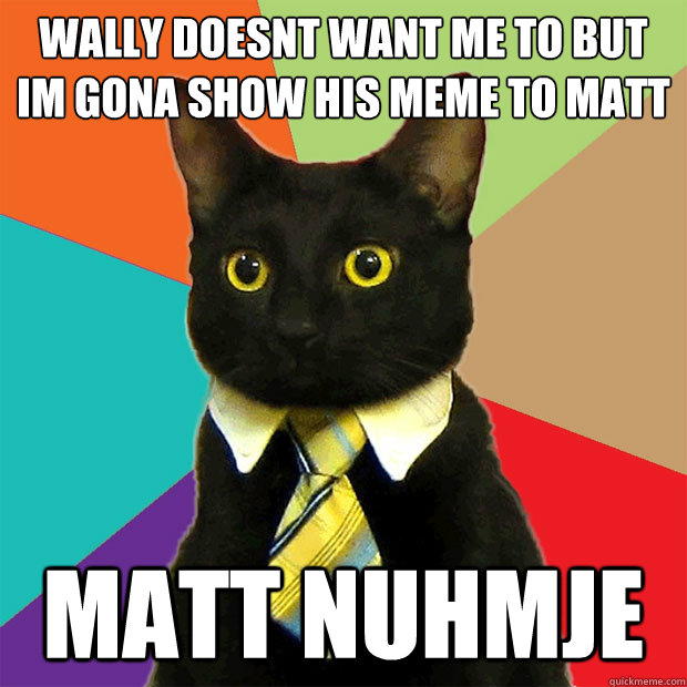 wally doesnt want me to but im gona show his meme to matt matt nuhmje  Business Cat