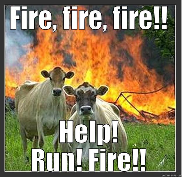 FIRE, FIRE, FIRE!! HELP! RUN! FIRE!! Evil cows