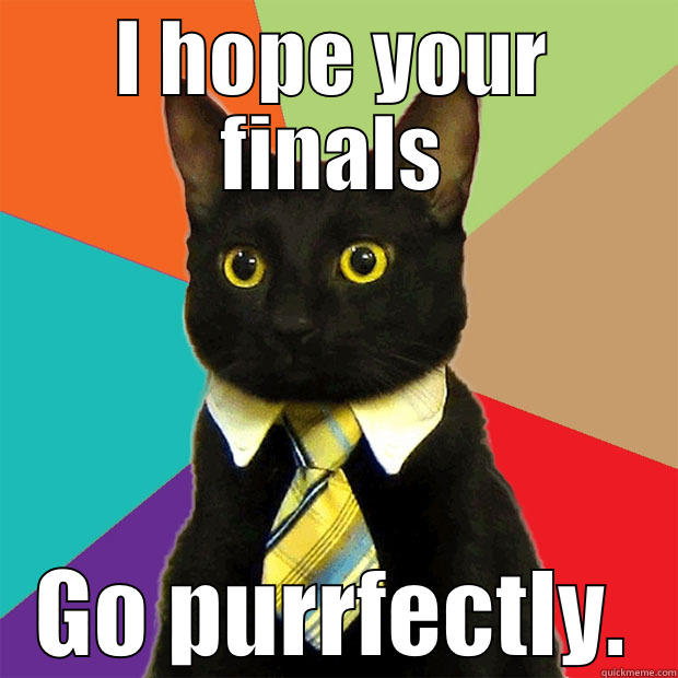 I HOPE YOUR FINALS GO PURRFECTLY. Business Cat