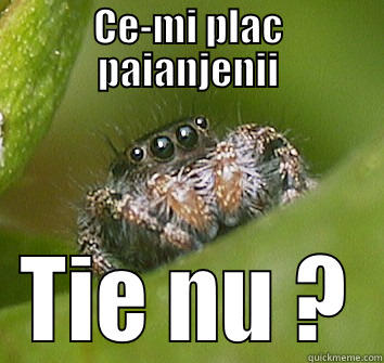 CE-MI PLAC PAIANJENII TIE NU ? Misunderstood Spider