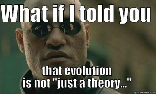 Evolution is not 