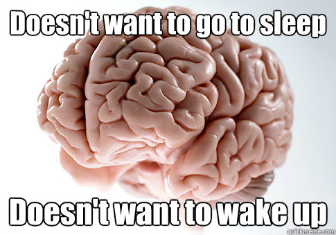 Doesn't want to go to sleep Doesn't want to wake up   Scumbag Brain