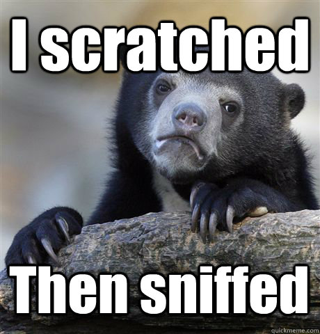 I scratched  Then sniffed   Confession Bear