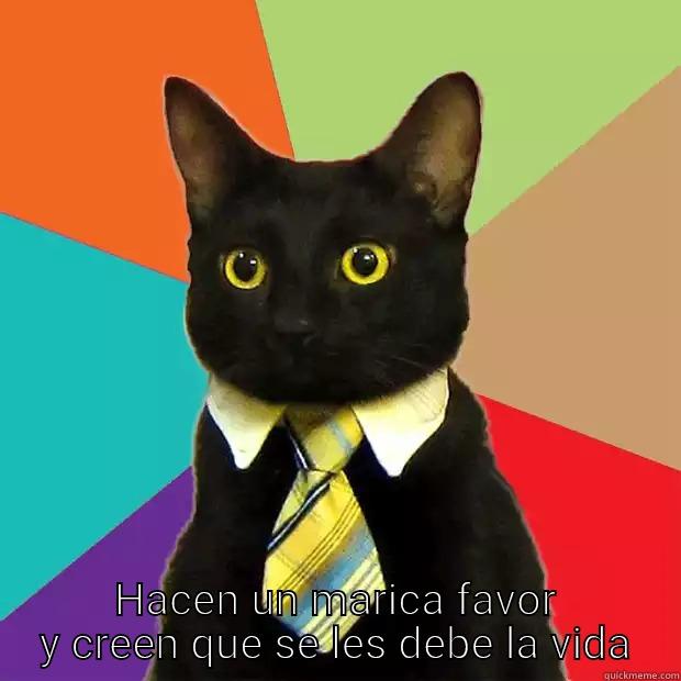  HACEN UN MARICA FAVOR Y CREEN QUE SE LES DEBE LA VIDA Business Cat