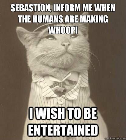 Sebastion, Inform me when the humans are making whoopi I wish to be entertained  Aristocat