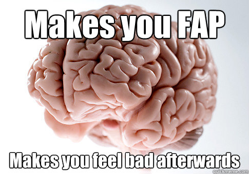 Makes you FAP Makes you feel bad afterwards - Makes you FAP Makes you feel bad afterwards  Scumbag Brain