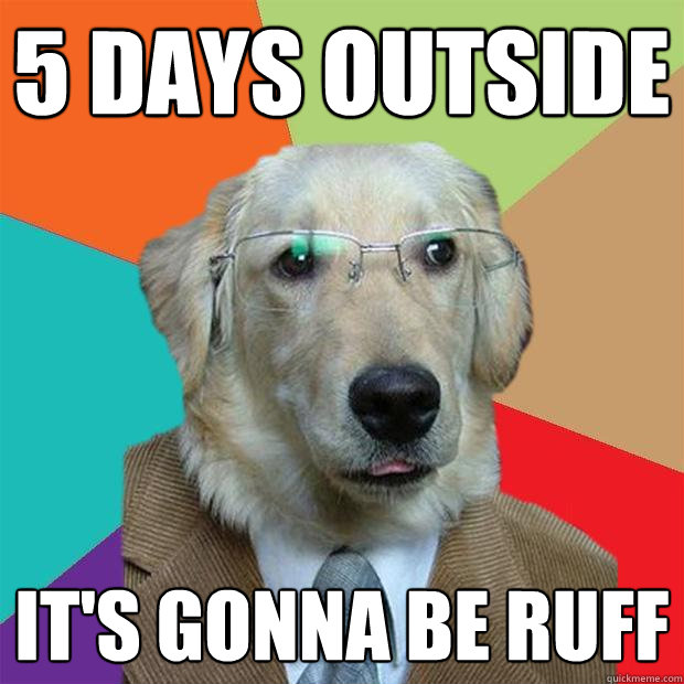 5 days outside it's gonna be ruff  Business Dog