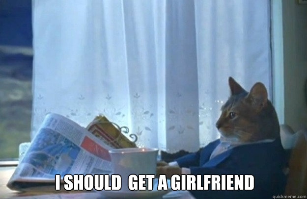 I should  get a girlfriend  Sophisticated Cat