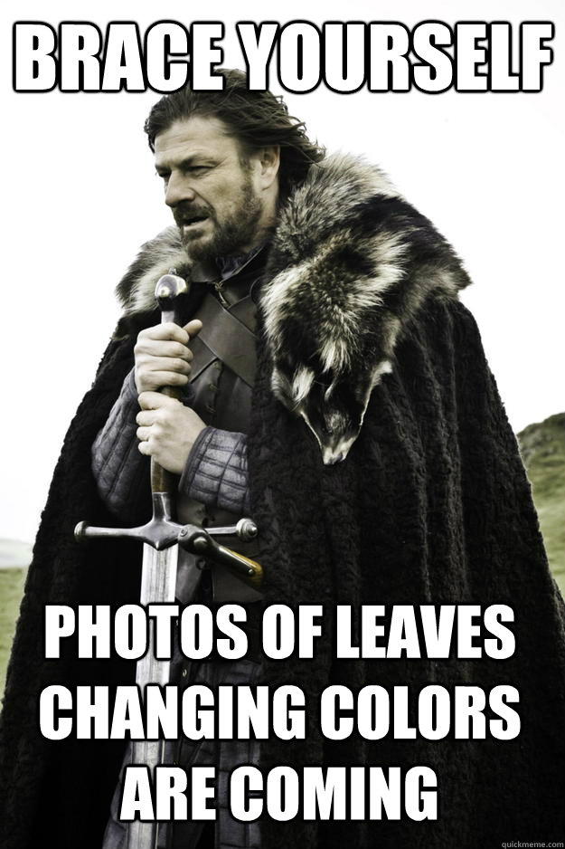 Brace Yourself Photos of leaves changing colors are coming  Winter is coming