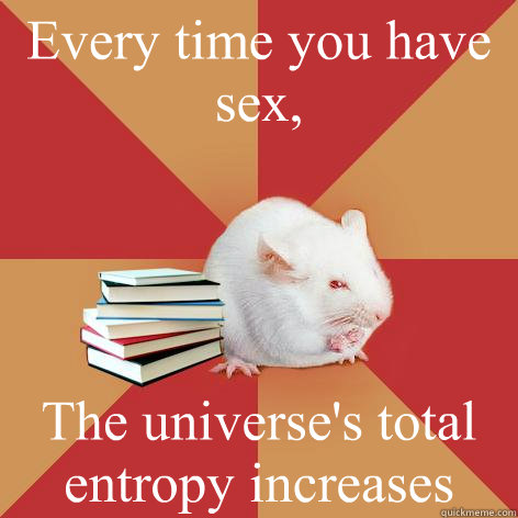 Every time you have sex, The universe's total entropy increases  Science Major Mouse