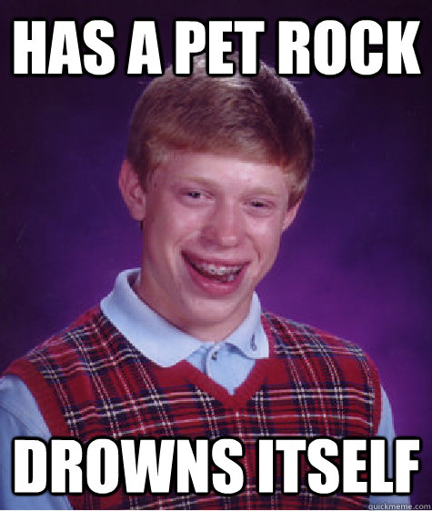 Has a Pet rock Drowns Itself  Bad Luck Brian