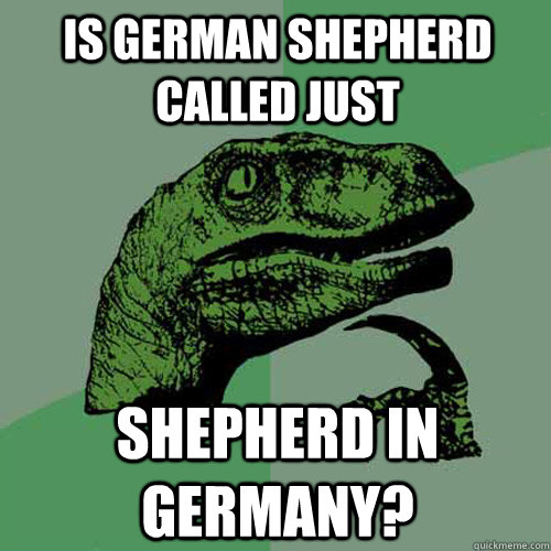 Is german shepherd called just shepherd in germany? - Is german shepherd called just shepherd in germany?  Philosoraptor