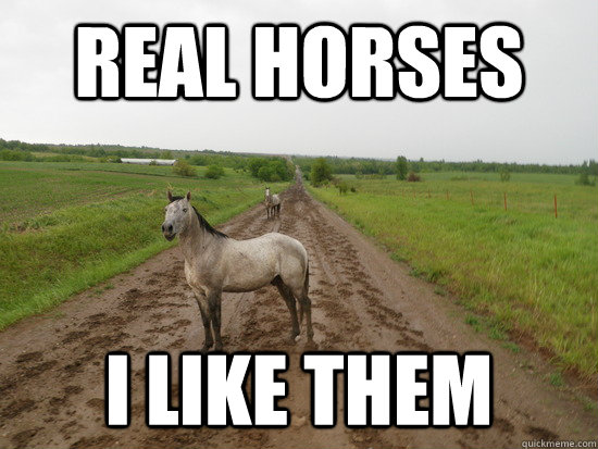 Real horses i like them  