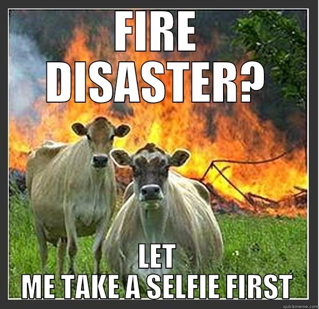 Selfie first - FIRE DISASTER? LET ME TAKE A SELFIE FIRST Evil cows