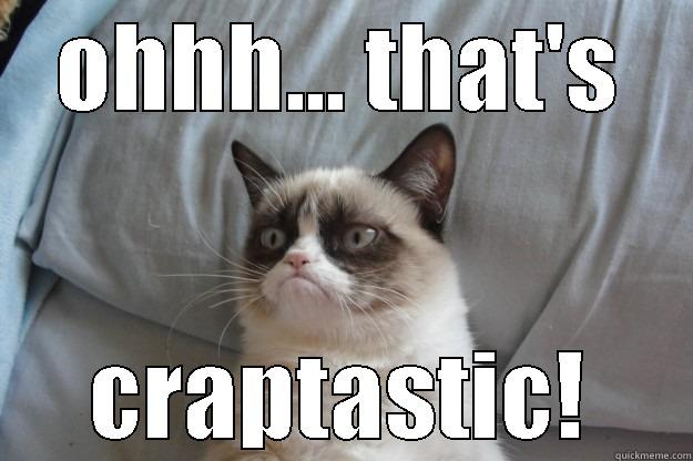 my day - OHHH... THAT'S CRAPTASTIC! Grumpy Cat