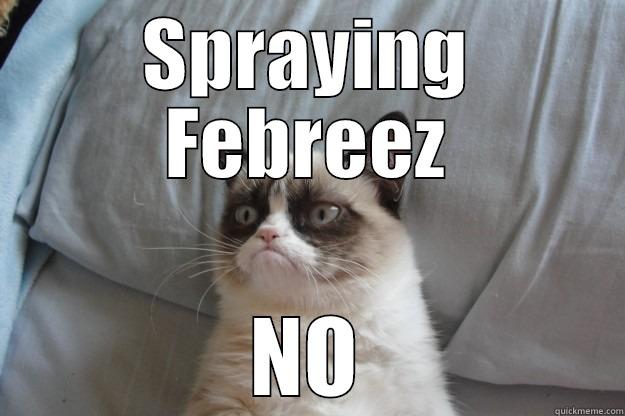 Febreeze sprayer - SPRAYING FEBREEZ NO Grumpy Cat