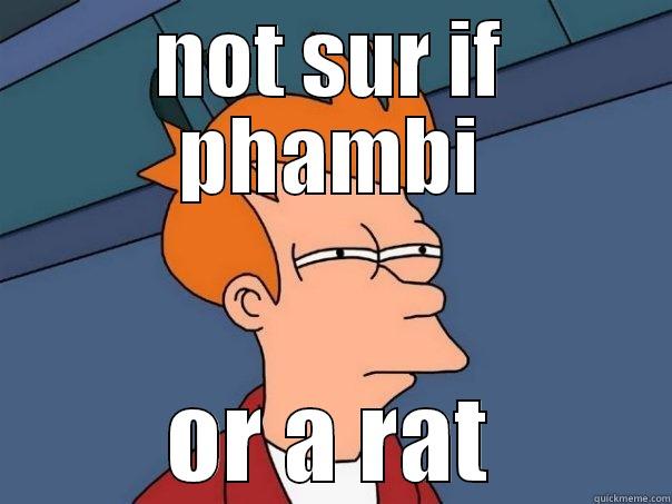 futurama fry - NOT SUR IF PHAMBI OR A RAT Futurama Fry