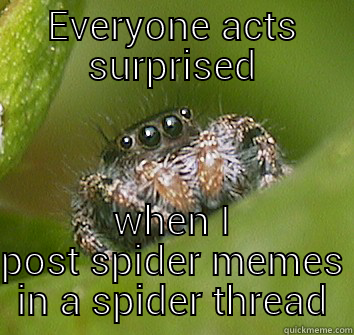 come at me bro - EVERYONE ACTS SURPRISED WHEN I POST SPIDER MEMES IN A SPIDER THREAD Misunderstood Spider