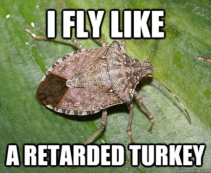 I fly like a retarded turkey  