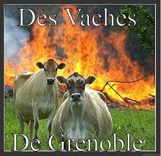 Cowfromgrenoble yeah  - DES VACHES DE GRENOBLE Evil cows