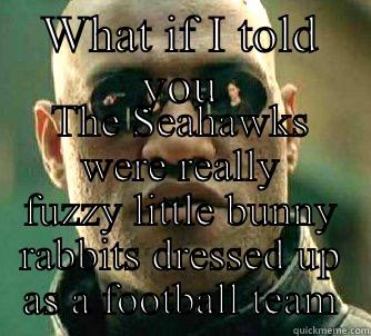 WHAT IF I TOLD YOU THE SEAHAWKS WERE REALLY FUZZY LITTLE BUNNY RABBITS DRESSED UP AS A FOOTBALL TEAM Matrix Morpheus