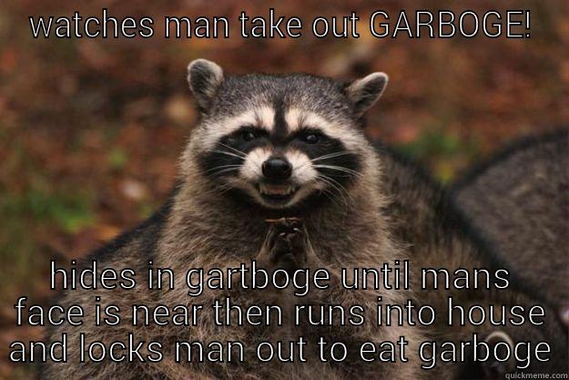 WATCHES MAN TAKE OUT GARBOGE! HIDES IN GARTBOGE UNTIL MANS FACE IS NEAR THEN RUNS INTO HOUSE AND LOCKS MAN OUT TO EAT GARBOGE Evil Plotting Raccoon