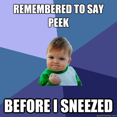 remembered to say peek  before i sneezed  Success Kid