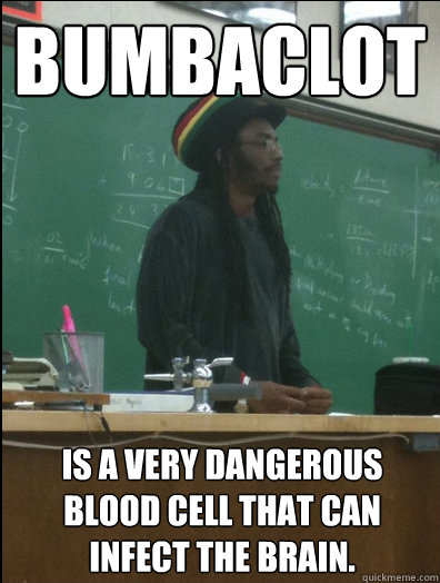 Bumbaclot Is a very dangerous blood cell that can infect the brain. - Bumbaclot Is a very dangerous blood cell that can infect the brain.  Rasta Science Teacher