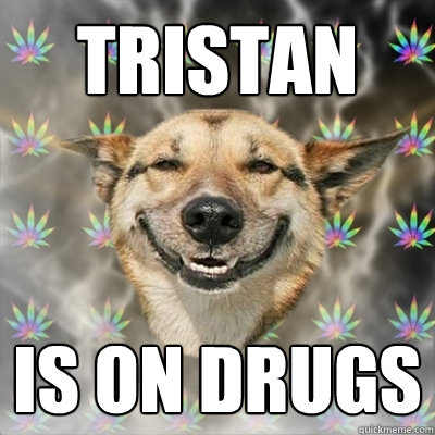 Tristan IS ON DRUGS  Stoner Dog