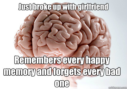 Just broke up with girlfriend Remembers every happy memory and forgets every bad one  Scumbag Brain