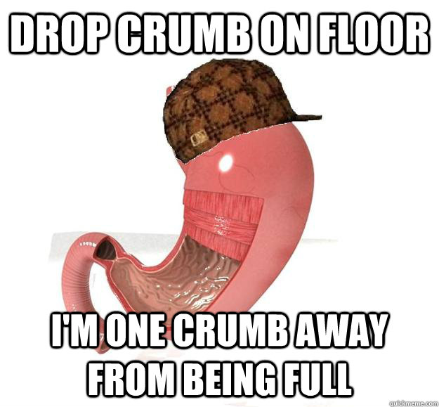 Drop crumb on floor I'm one crumb away from being full  