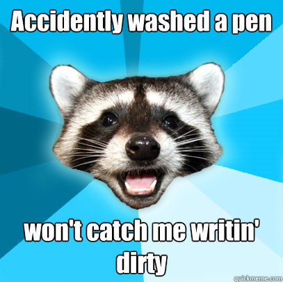 Accidently washed a pen won't catch me writin' dirty  Lame Pun Coon