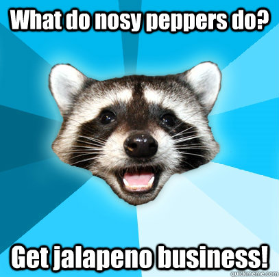 What do nosy peppers do? Get jalapeno business!  Lame Pun Coon