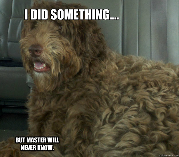 I did something....
 But master will never know. - I did something....
 But master will never know.  dangerous dog