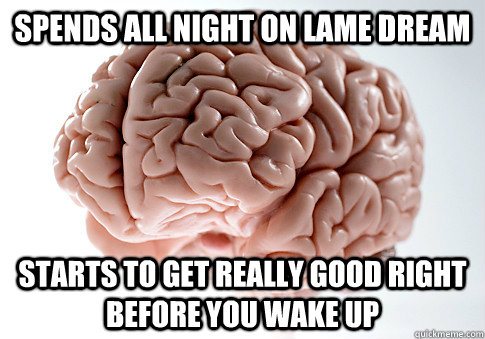 spends all night on lame dream starts to get really good right before you wake up - spends all night on lame dream starts to get really good right before you wake up  Scumbag Brain