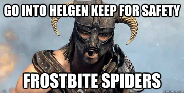 GO INTO HELGEN KEEP FOR SAFETY FROSTBITE SPIDERS    skyrim